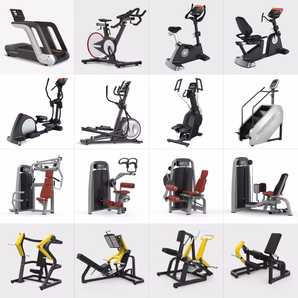 Gym Equipment