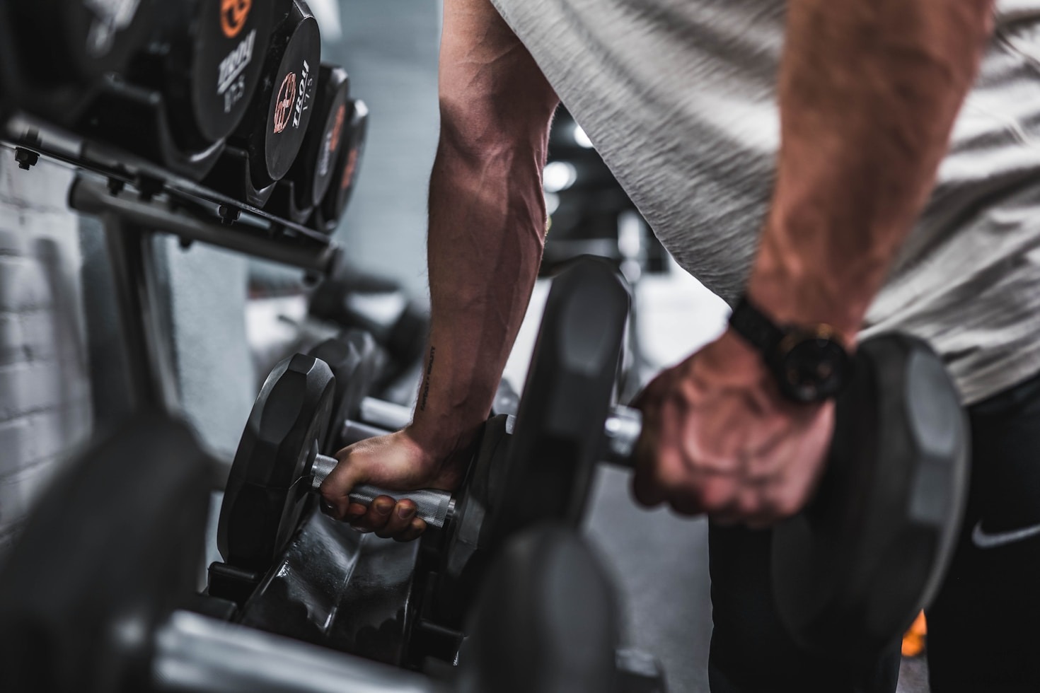 Muscle mass